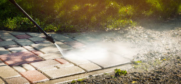 Best Animal Enclosure Cleaning  in India Hook, SC